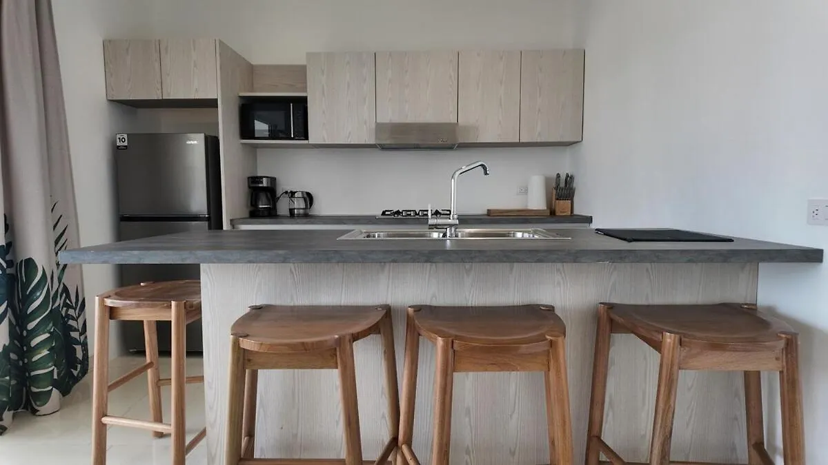 Two Bedroom Beach Apartment لاس تاريناس